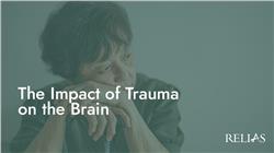 The Impact of Trauma on the Brain